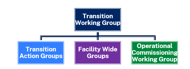 TransitionGovernance.png